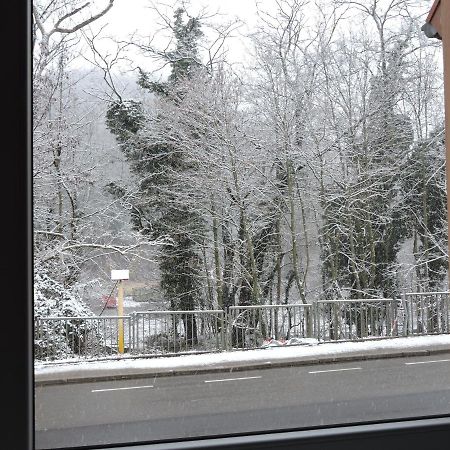 Ferienwohnungen Haus Scheidter 42 Saarbrücken Exterior foto